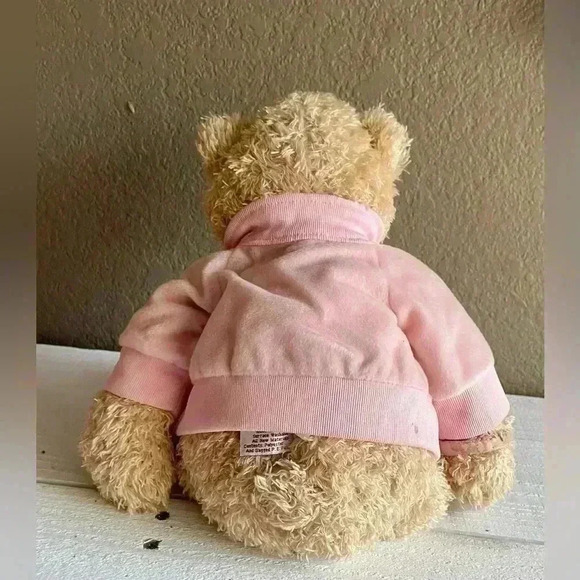 Plush Bear - Race for the Cure - Picture 4 of 6